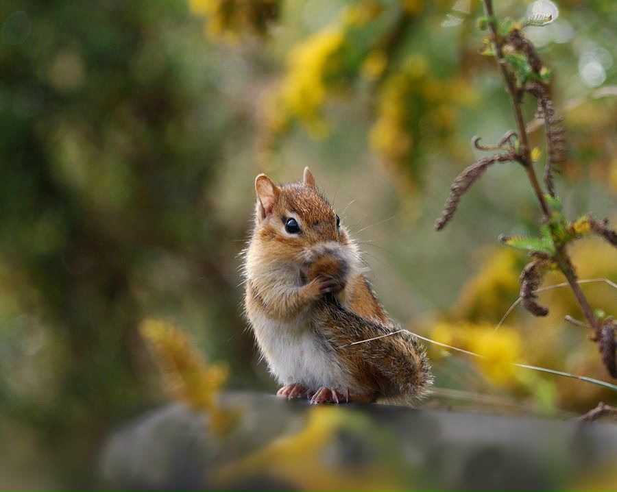 Ольга Николаевна | Москва