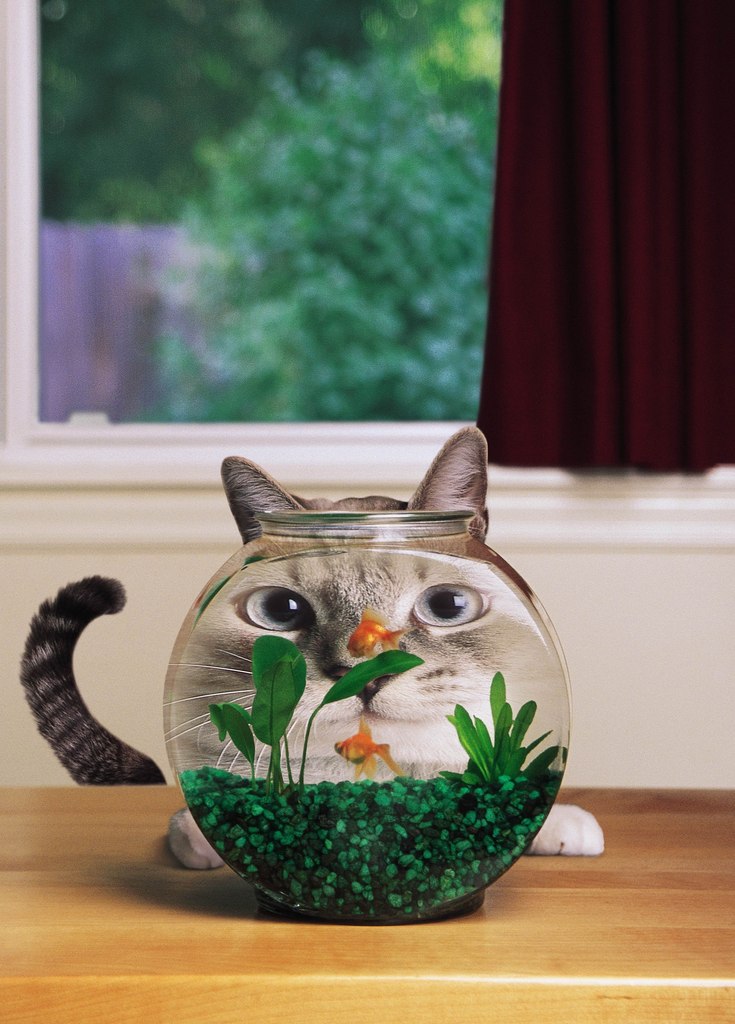 Олег Олегов | Москва