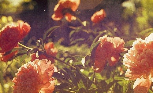 Айгуль Мавлютдинова ▲ | 