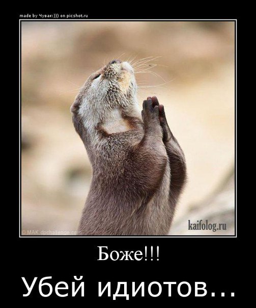 Анаит Хачатрян | Санкт-Петербург