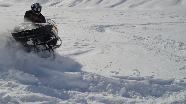Алексей Савин Викторович | Петропавловск-Камчатский