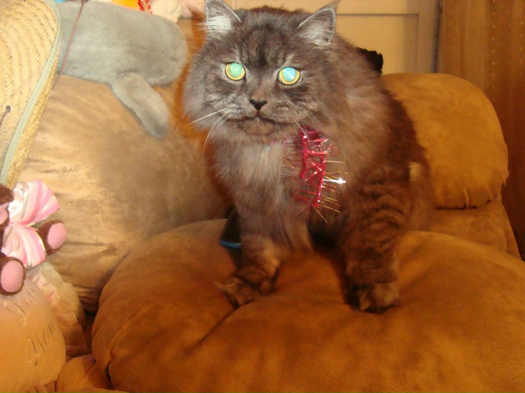 Андрей Андреев | Щелково