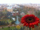 №6 Валериан Замолоцких