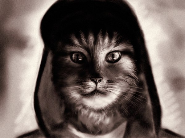 Катерина Балакирева greenland | Санкт-Петербург