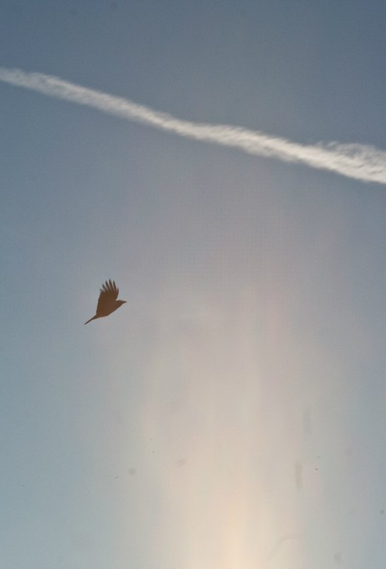 Муми Твикс | Мурманск