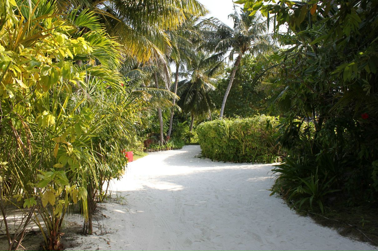 Валентина Векшина | Санкт-Петербург