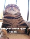 Фотография Виктория Пацкевич