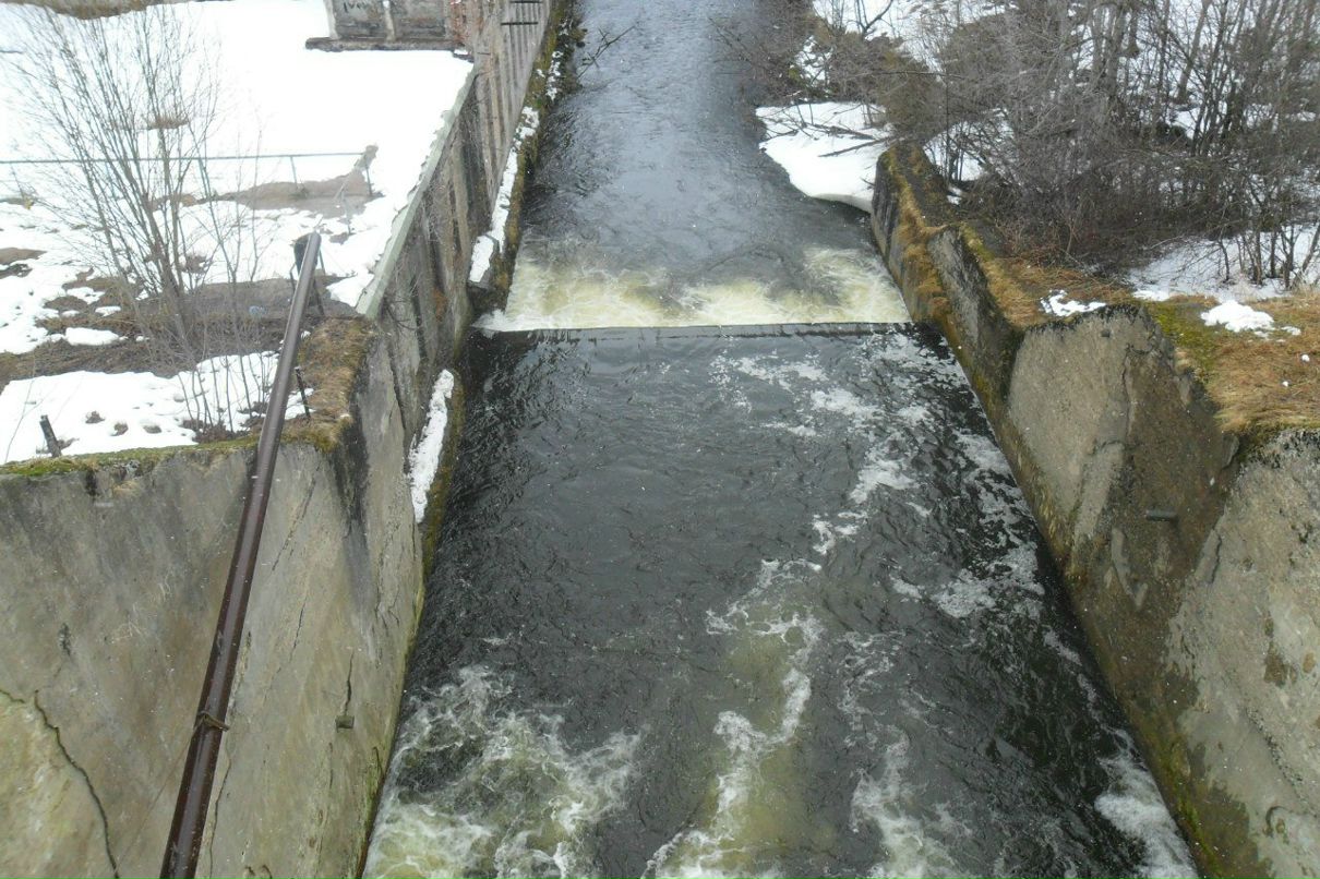 Александр Сорокин Sax | Кингисепп