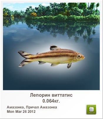 Вячеслав Скрипин | Ульяновск