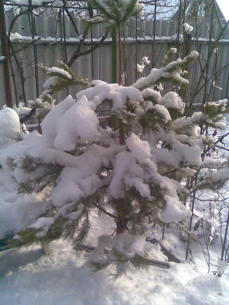 Евгения Терещенко | Элиста