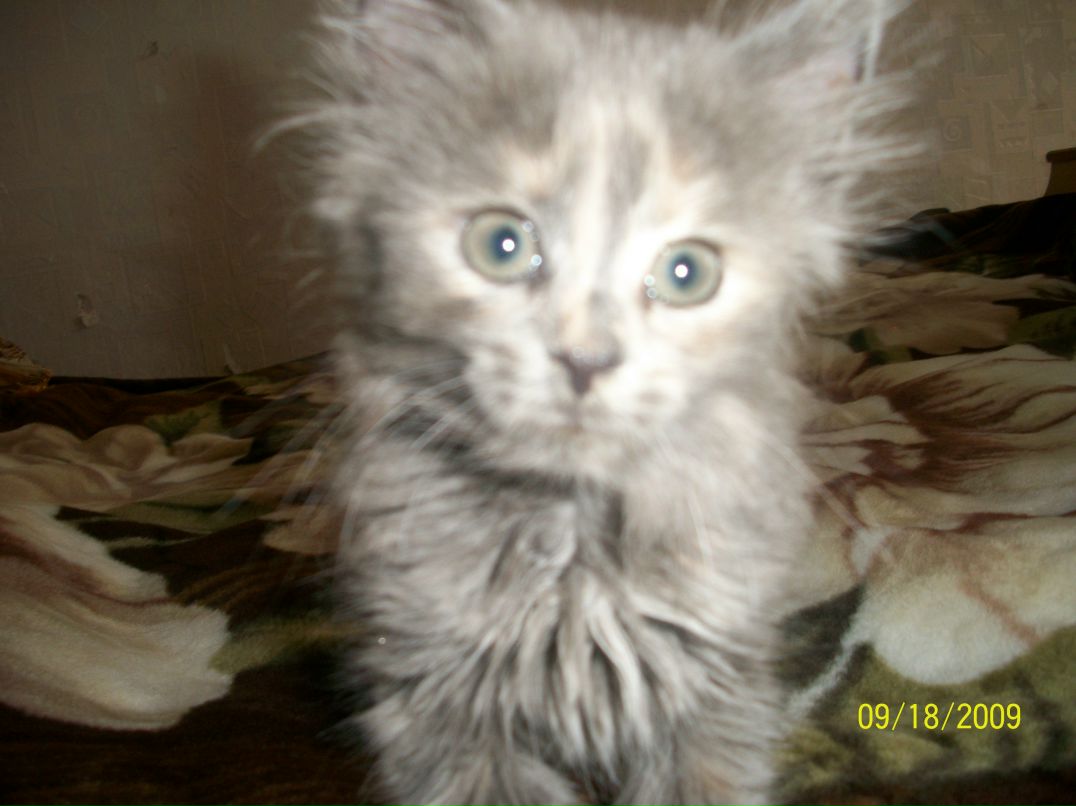 Сергей Локотков Lucky | Белая Церковь