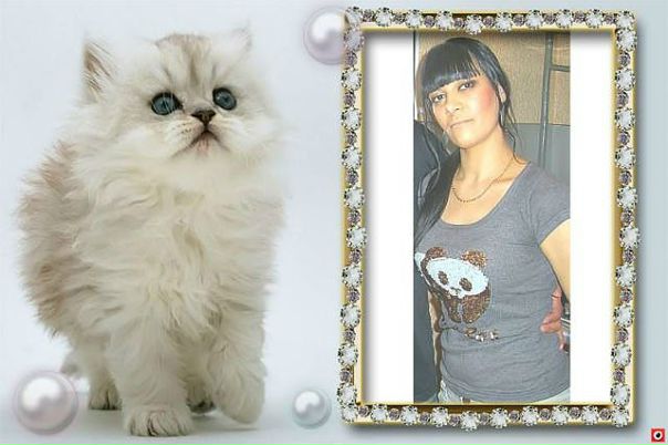 №114, Анжелика Арутюнова №114, Анжелика Арутюнова