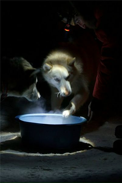 №48, Ольга Сорокина, Кострома №48, Ольга Сорокина, Кострома