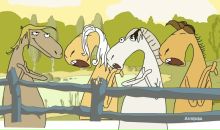 №8, Марина Еникеева, 29.7, Уфа, Россия №8, Марина Еникеева, 29.7, Уфа, Россия