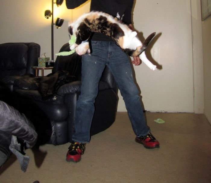 Василий Зекин | Севастополь