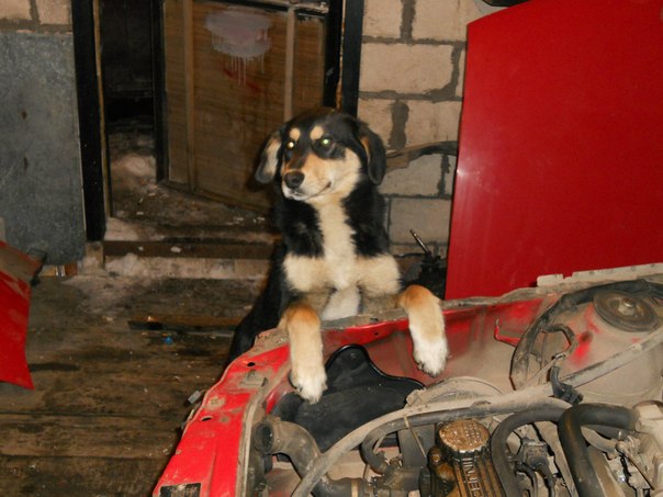 №41, Колян Волков, Балаково №41, Колян Волков, Балаково