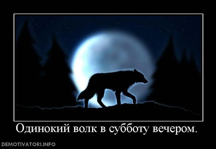 Дмитрий Палачев | Москва