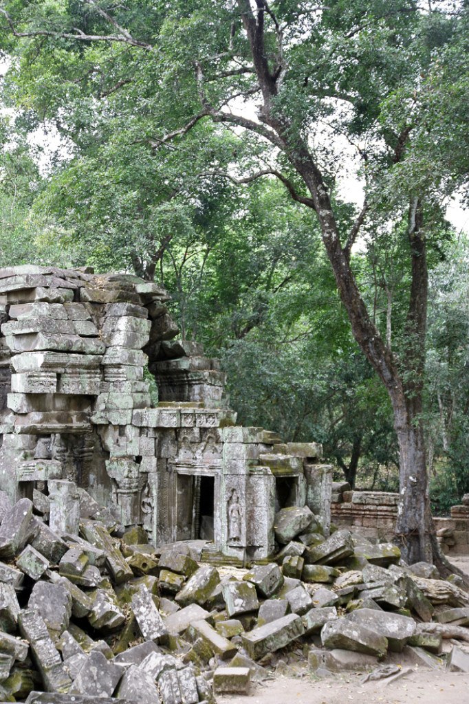 Света Никифорова | Санкт-Петербург
