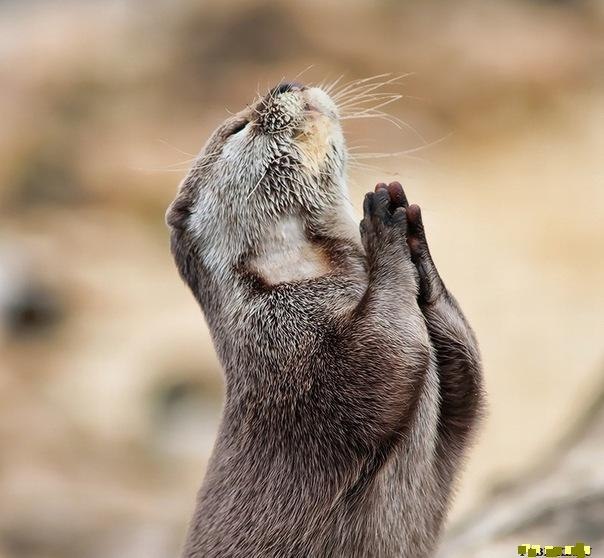 №110, Наталья Сметанина, Кострома №110, Наталья Сметанина, Кострома