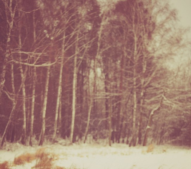 Полина Стаймэст | Москва