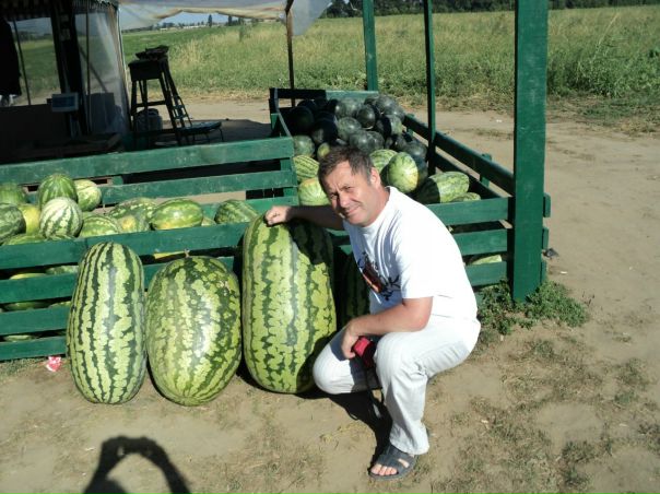 №19, Игорь Плиско, Сургут №19, Игорь Плиско, Сургут