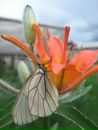 №35 Ирина Тохтобина : профиль, фото, статус - ВКонтакте