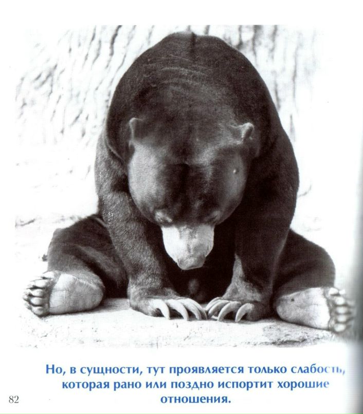 Данила Герщук | Воронеж