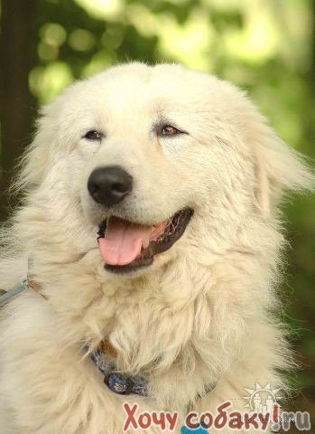 Анастасия Сергеева | Москва