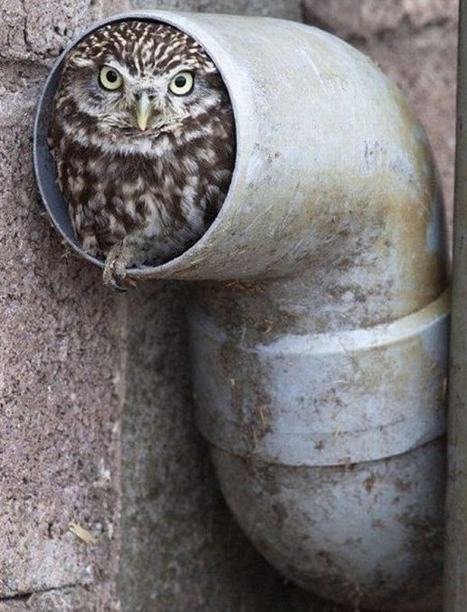 Валера Фокин | Фастов