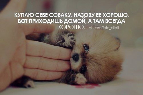 Светлана Ковалёва | Красноярск