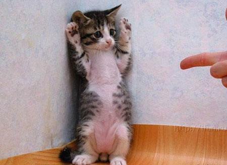 Елена Власова | 