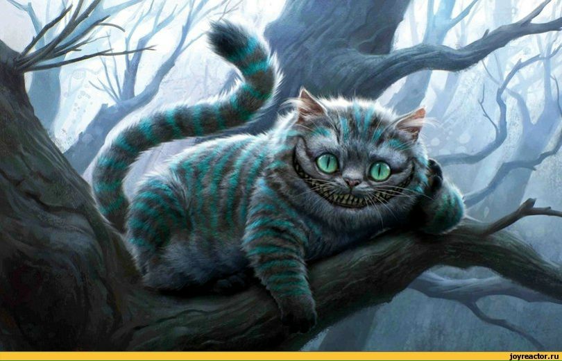 Влад Багинский Last Sniper | Киев