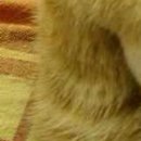 №25, Александр Нетипанов, 46 лет, Санкт-Петербург №25, Александр Нетипанов, 46 лет, Санкт-Петербург