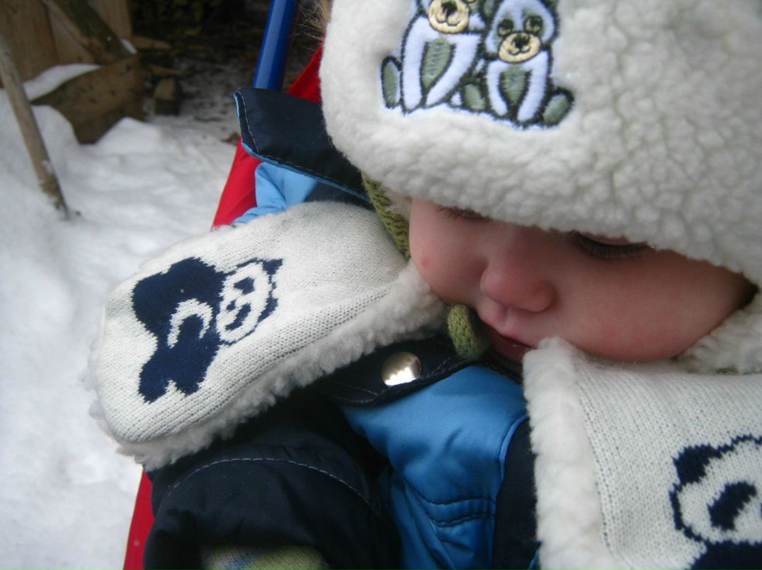 Полина Шемякина Ami | Боговарово