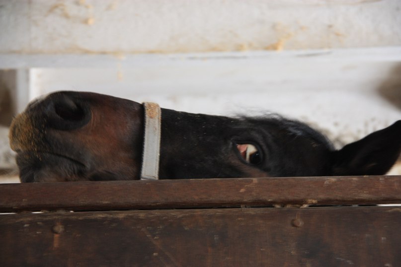Federicco Consone | Санкт-Петербург