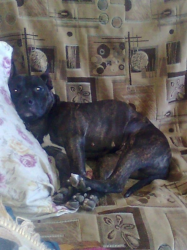 Кристина Шишкина | Астана / Нур-Султан