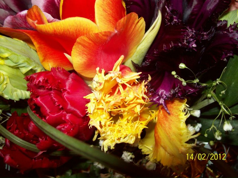 Лариса Будяева | Балашов