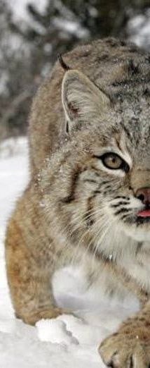 Даша Линева | Москва