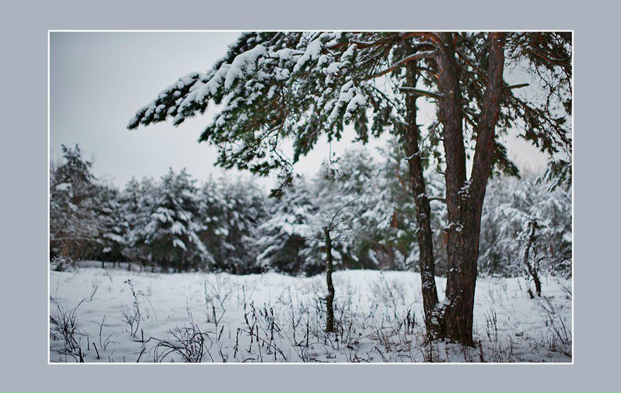 Andrey Sherstobitov | 