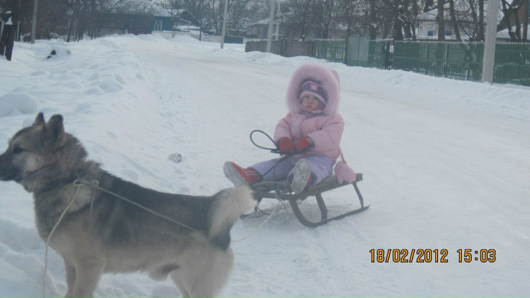 №5, Natalya-Shirin Okhrimenko, Ташкент №5, Natalya-Shirin Okhrimenko, Ташкент