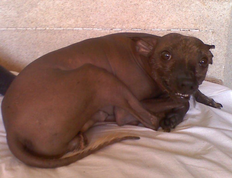 Евгений Кузнецов | Сургут