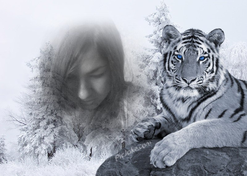 Марія Децик | 