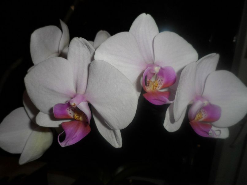 Елена Кундрюкова Васильевна | Волгодонск