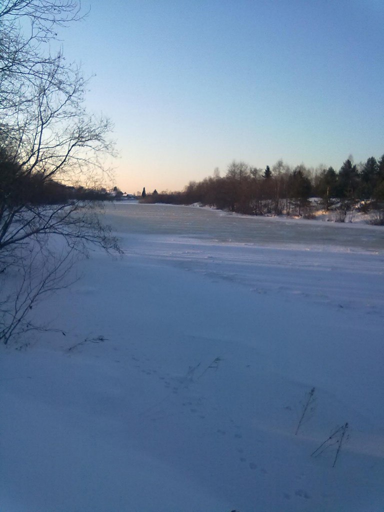 Кирилл Кольцов | Санкт-Петербург