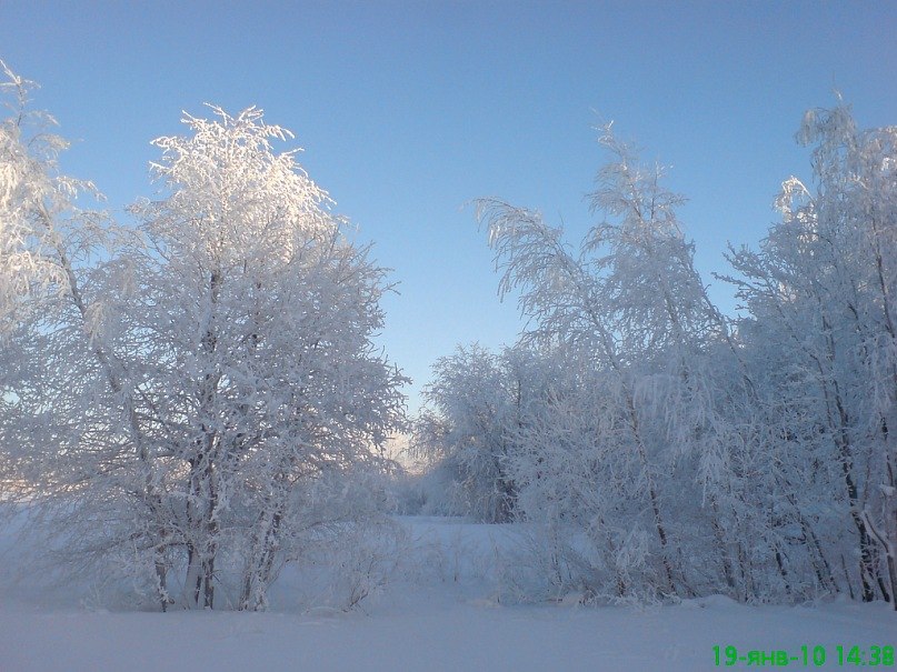 Гоша Гордиенко иванович | Санкт-Петербург