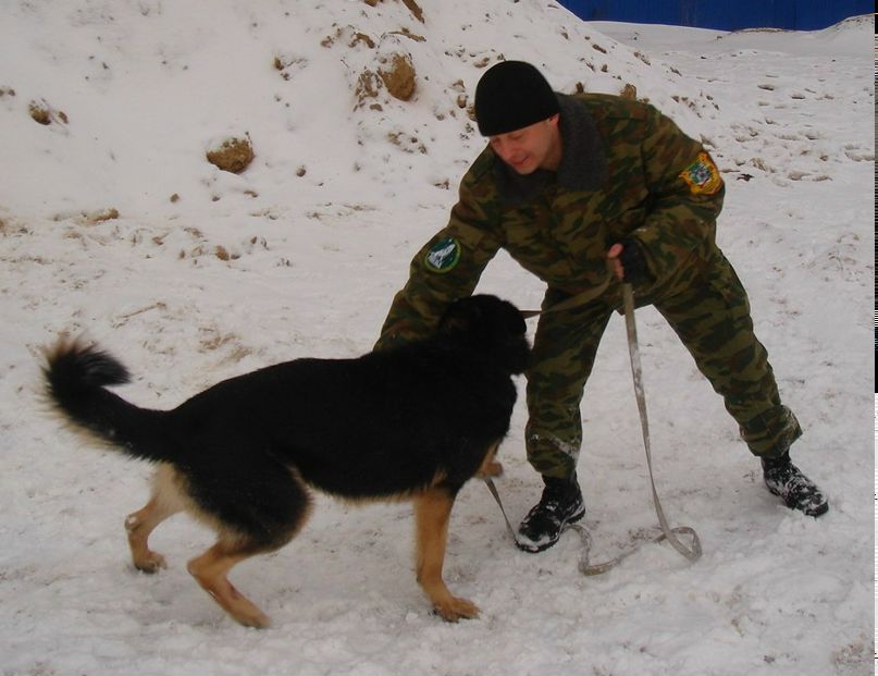 Роман Чурсинов | Санкт-Петербург