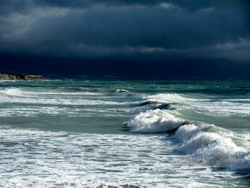 Рамиль Чамкаев | Тольятти