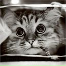 Фотография Екатерина Суворова