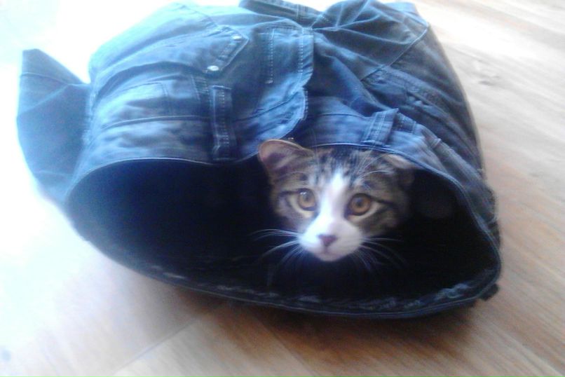 Никита Морозов почти доучился | Хабаровск