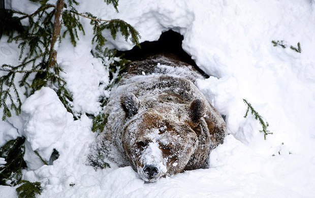 Мишка Терещенко | Санкт-Петербург